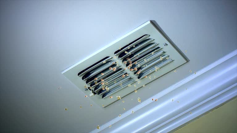 Best Local Air Duct Cleaning Services  in Mcmillin, WA