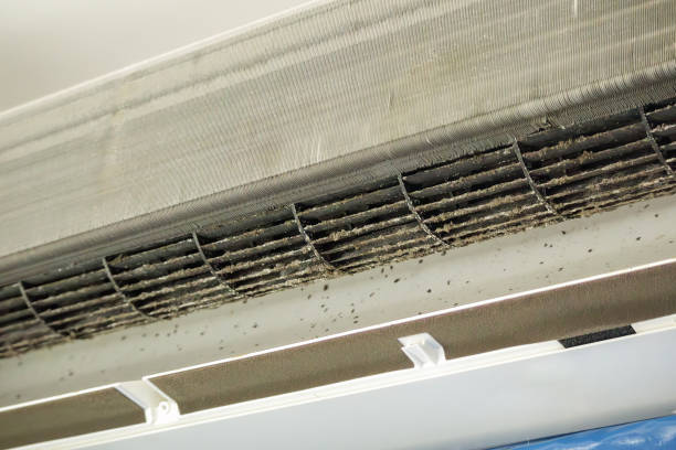 Best Air Duct Cleaning Near Me  in Mcmillin, WA
